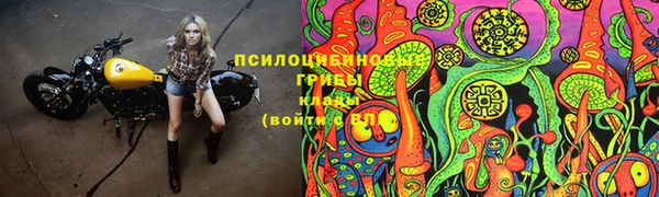 2c-b Армянск