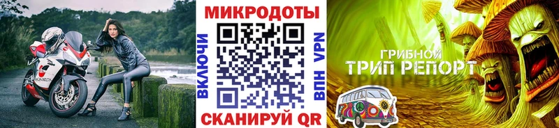 даркнет официальный сайт  Могоча  Галлюциногенные грибы Psilocybine cubensis 